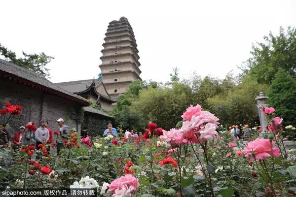 二月份从上海到哪旅游机票便宜,十月北京出发最便宜机票