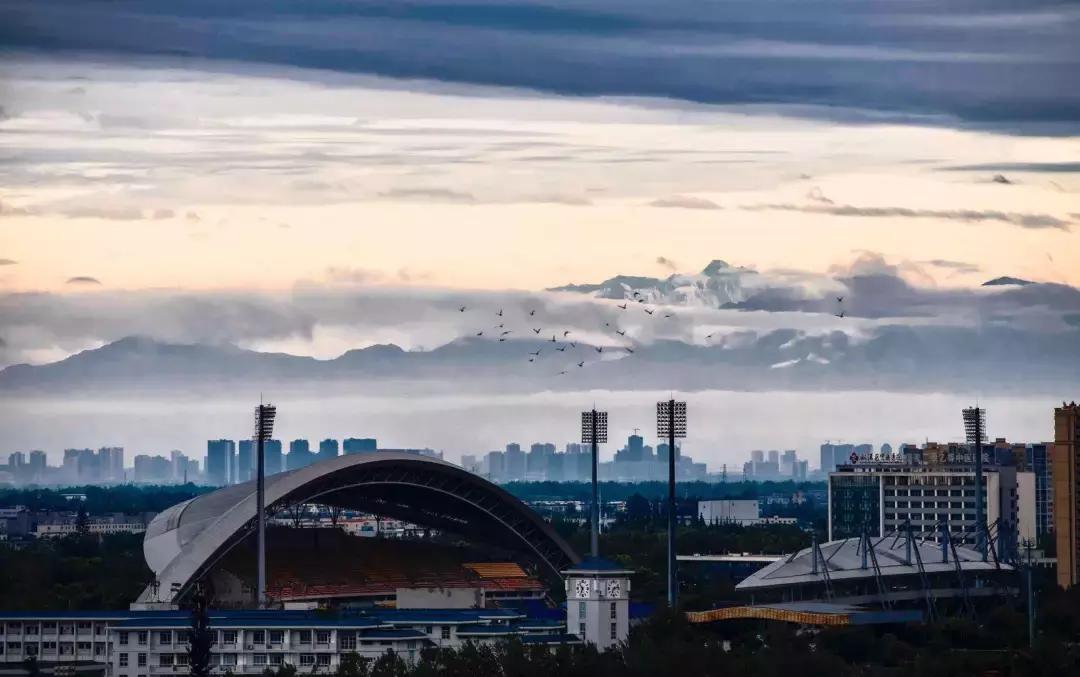 体育馆内的超绝颜值,成都双流体育场