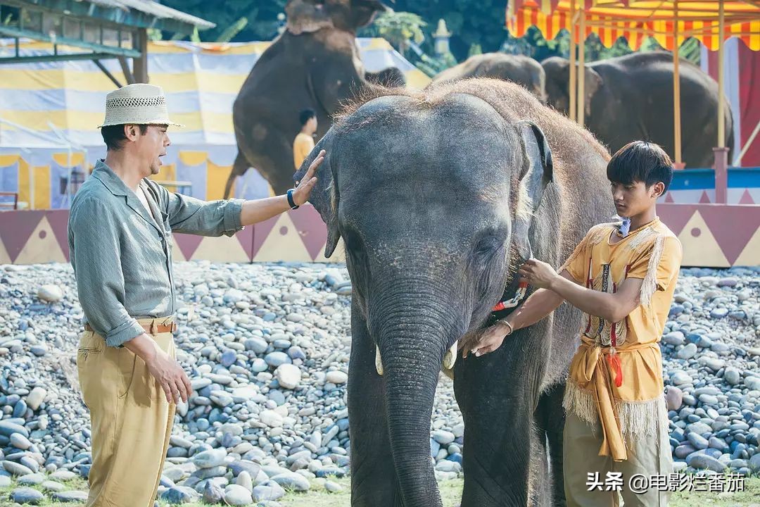 刘青云为什么缺席金像奖,刘青云的真实生活视频