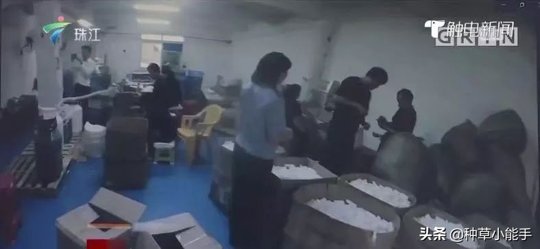 网红卖的安耐晒,安耐晒低价