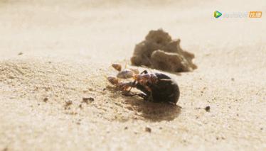 被吹爆的神片,被吹上天的神作