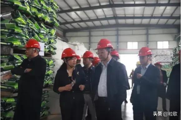 富邦股份的发展趋势,富邦股份潜力