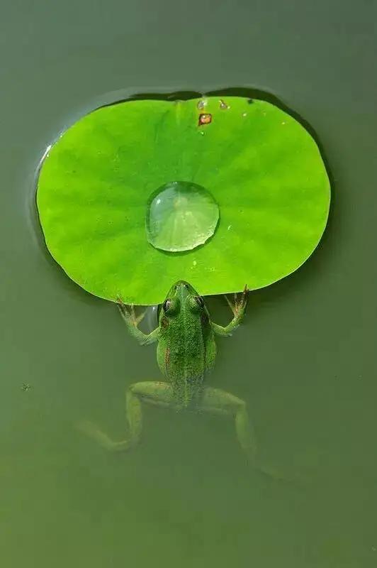 璧忔瀽鏁ｆ枃鍚洦,鍚洦鏁ｆ枃鍝茬悊