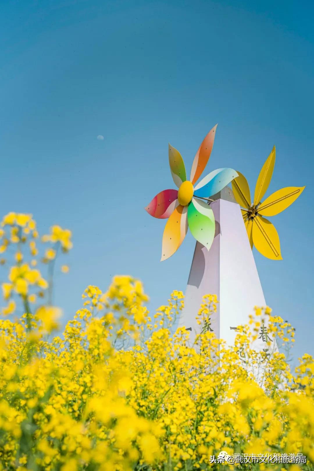 蔡甸区游玩,蔡甸在哪里