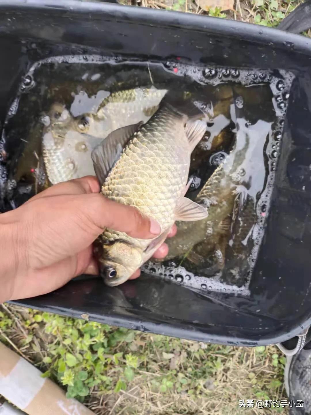 正确泡沫珠钓法图解,泡沫珠珠钓鱼方法