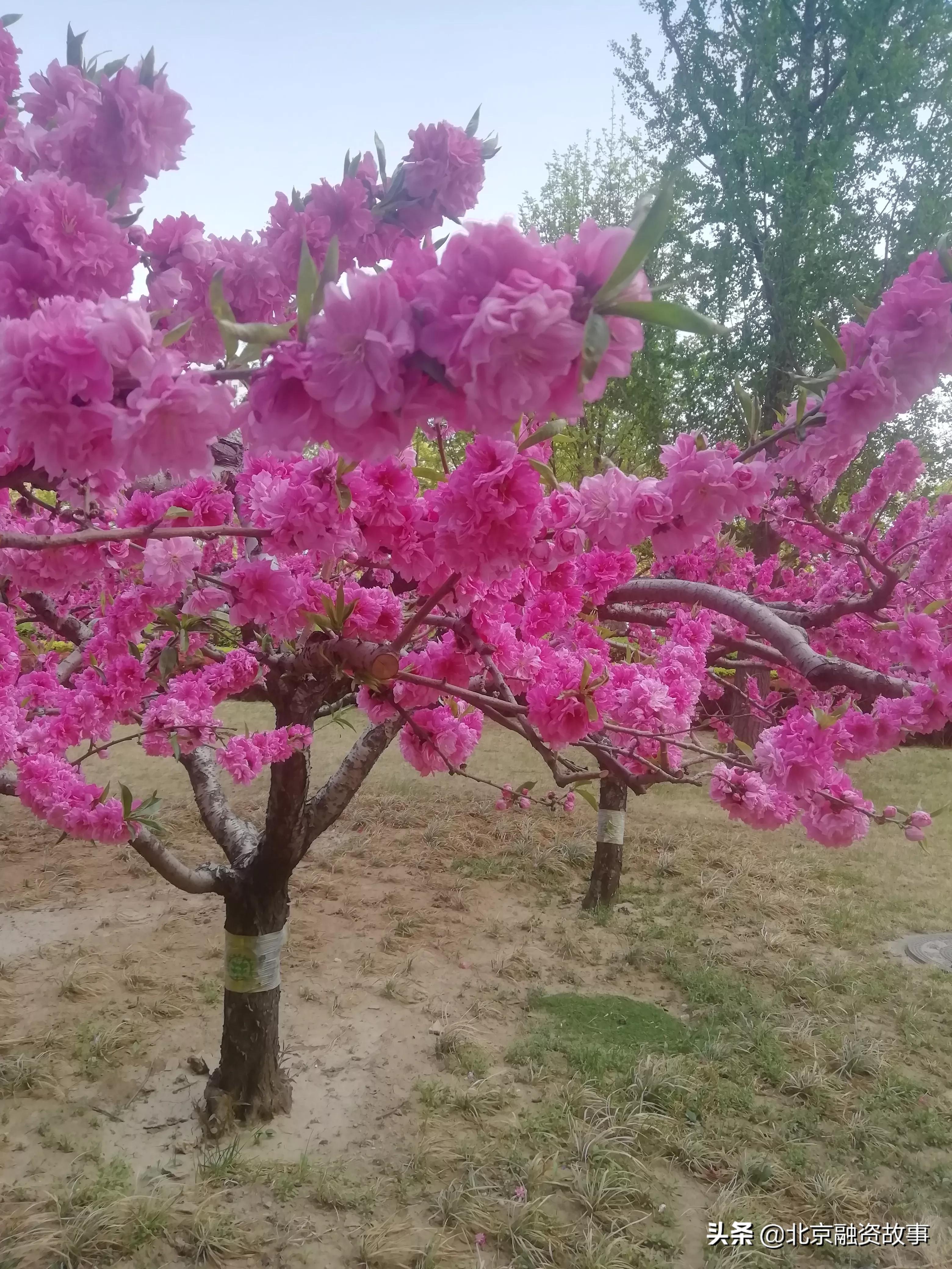 紫禁城与“深房理”