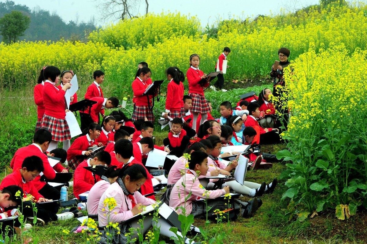 幼儿园春游活动方案托班,幼儿园春游活动方案反思