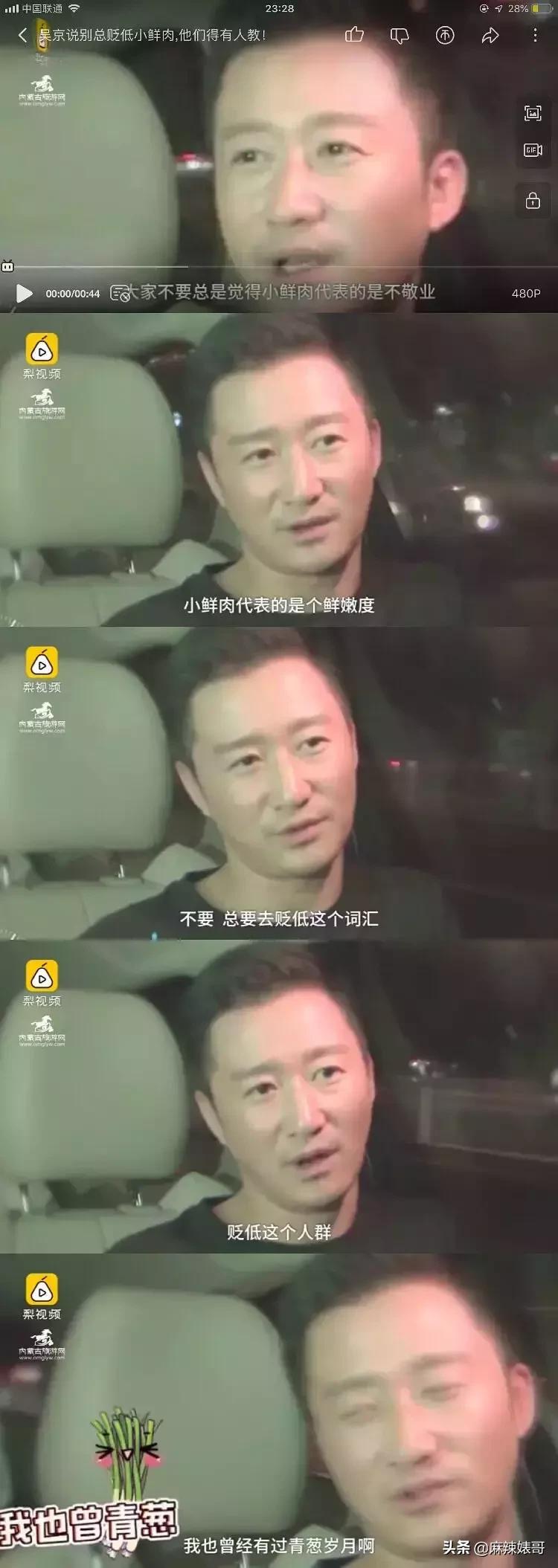 吴京电影宝藏,吴京演了无价之宝吗