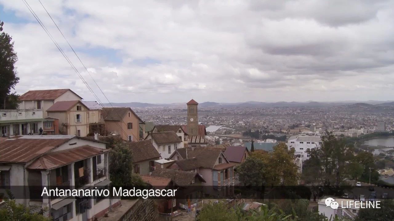 龟中“考拉”，请别让我们的孩子在博物馆见到它们...