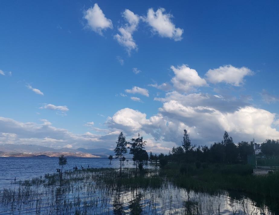 40岁裸辞找工作好吗,40岁裸辞后想做点小生意