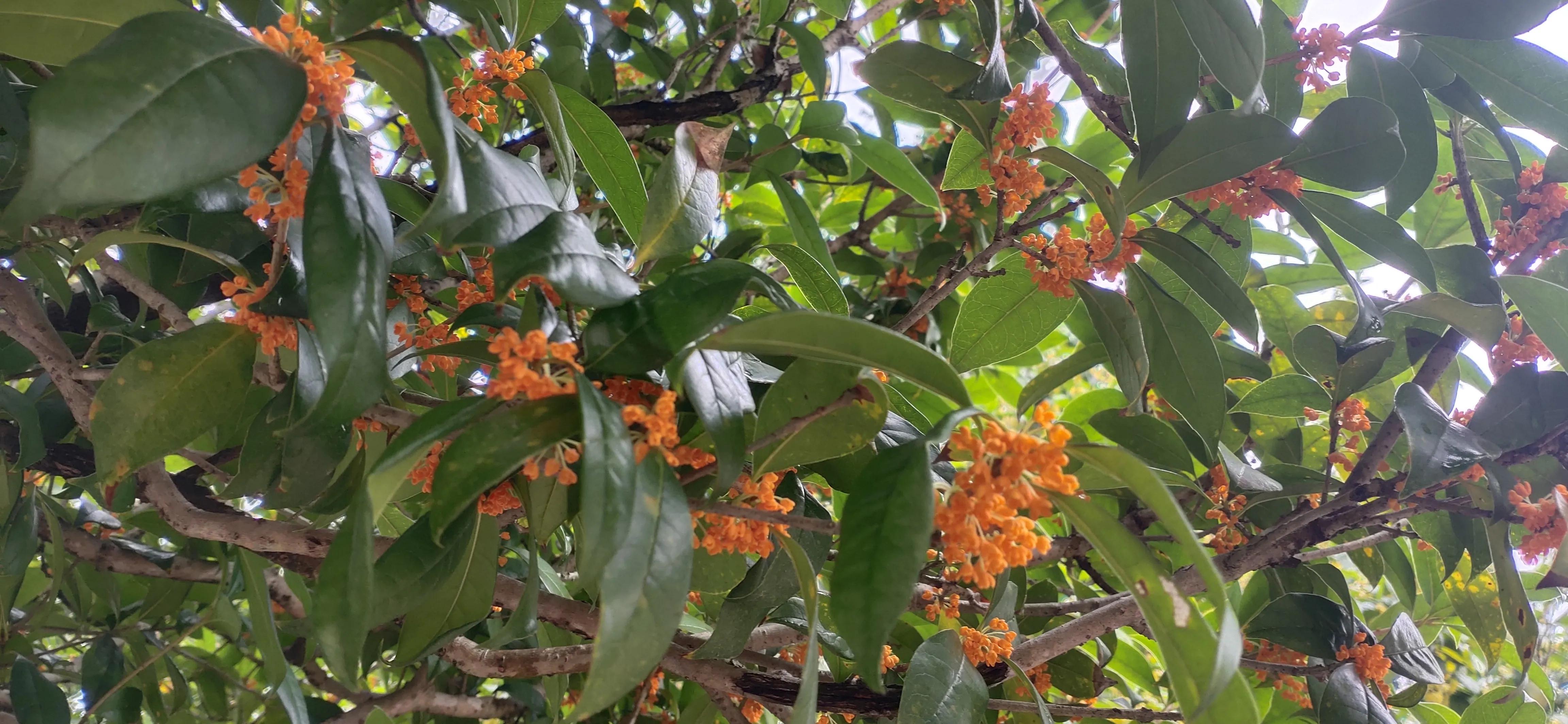 三种方法助你写好观察日记