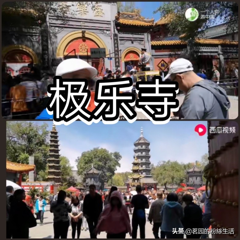 哈尔滨极乐寺冬天有庙会吗,哈尔滨极乐寺元宵节