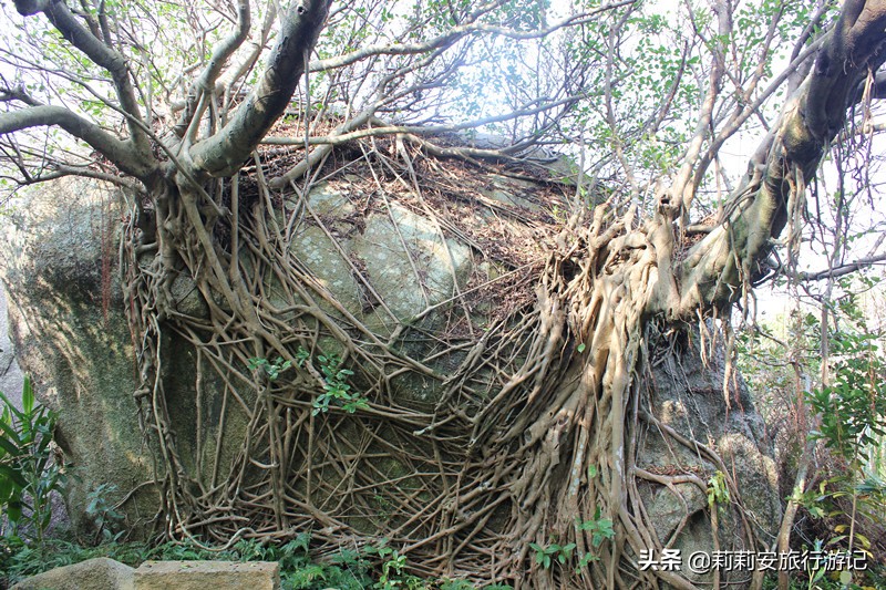 广东旅游海边巽寮湾,巽寮湾捕鱼体验景点