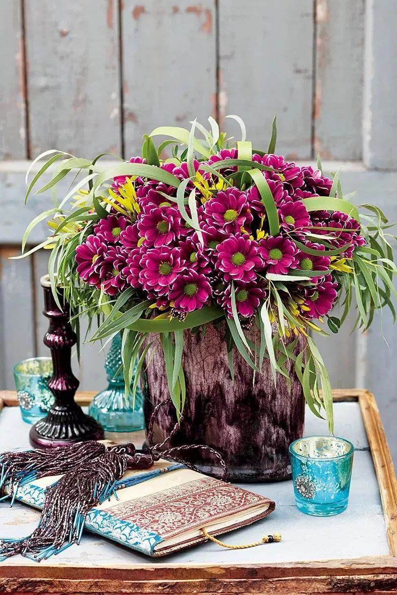 好看的切花菊推荐,好看好养的切花菊