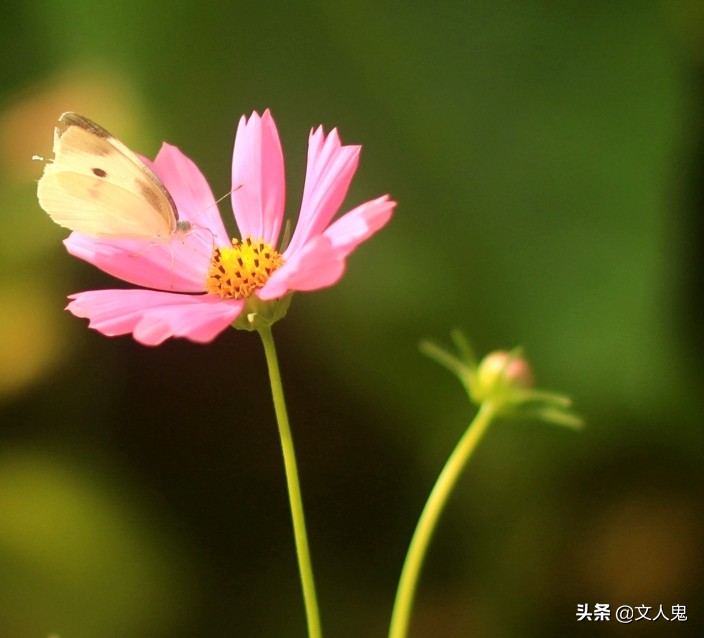 写网文小说的前期准备,网文小说应避开的毒点