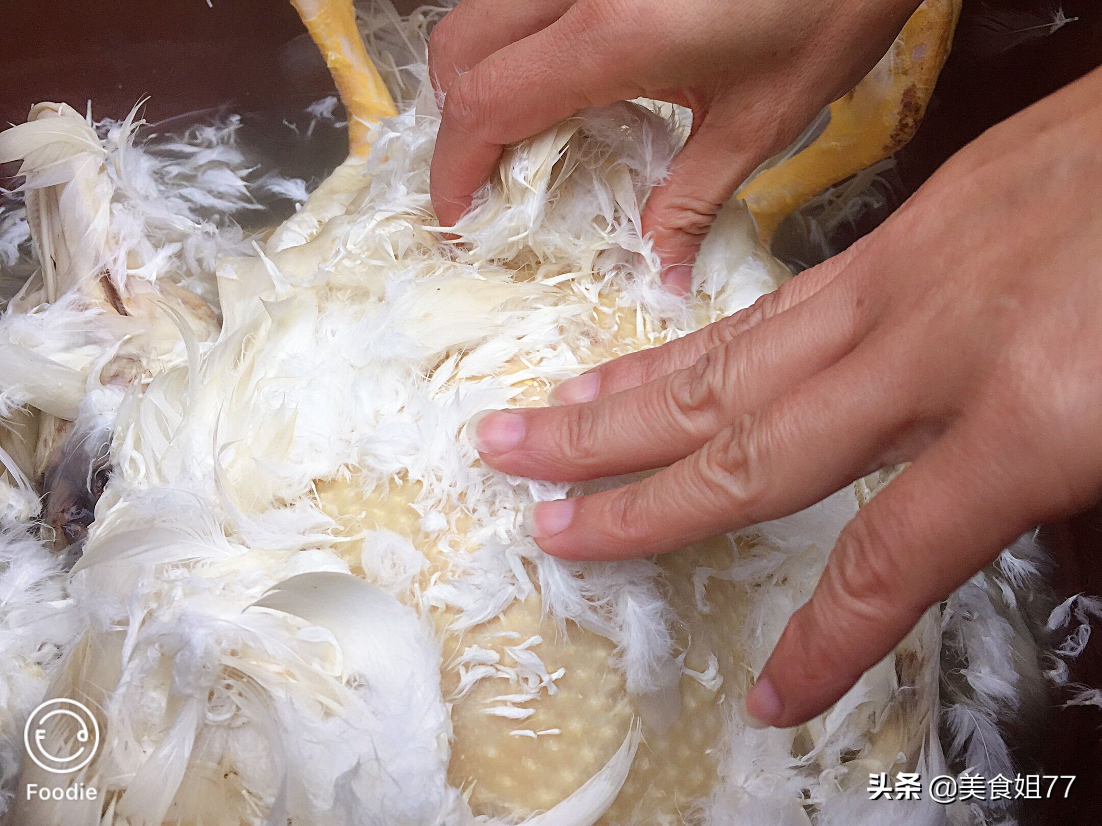 闽南炖鸭汤的做法,原汁炖鸭汤