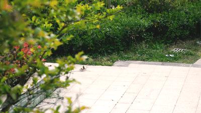 窃格瓦拉的天敌！智能出行更安全，大鱼电动车走进我的生活