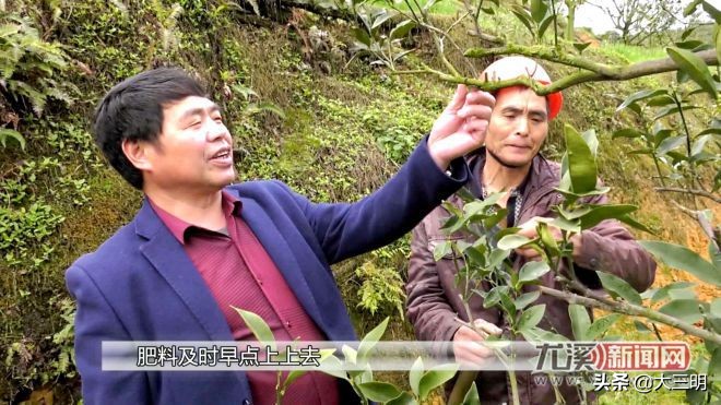 小康来敲门生态养羊,小康来敲门脱贫