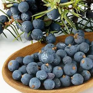 进口知识,进口零食知识