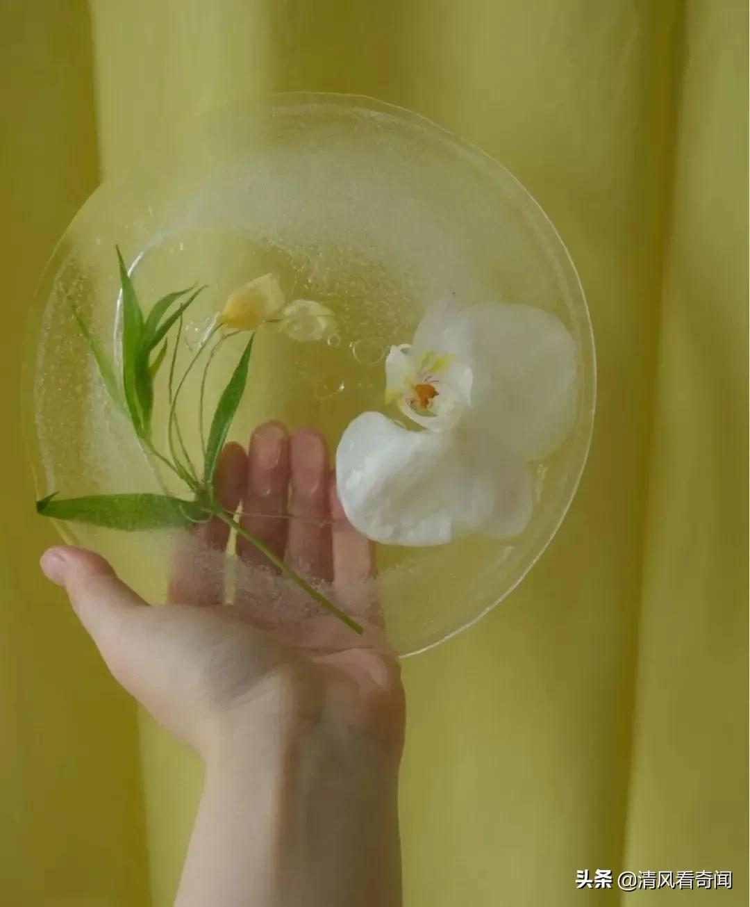 冻冰花美篇,冻冰花的美篇