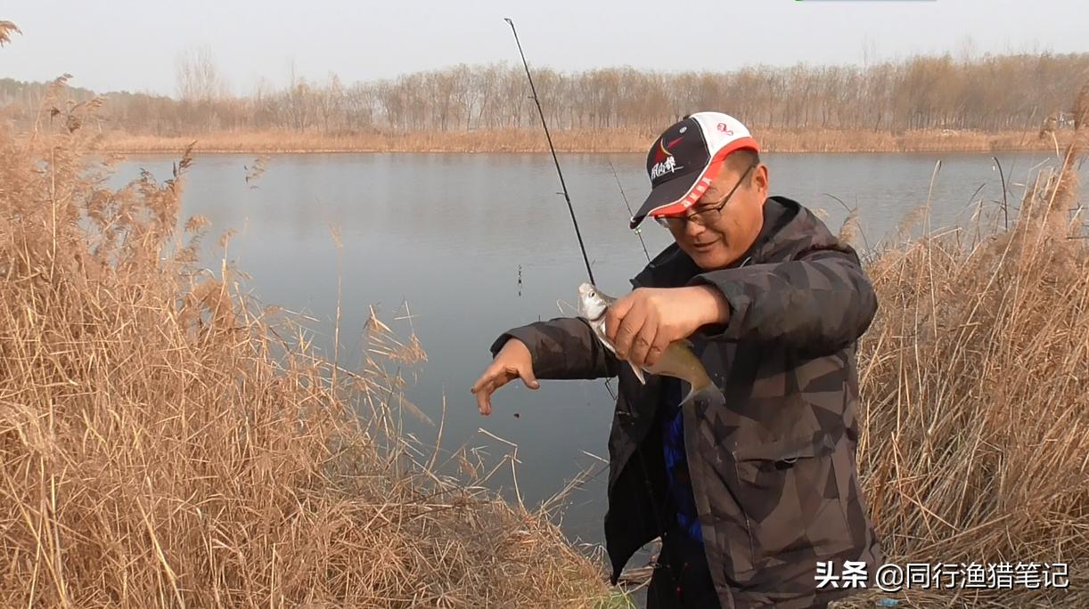 路亚串钩的钓法和技巧,路亚串钩钓法用几号钩