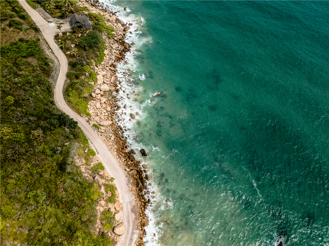 海南必玩猴岛与呆呆丨看萌呆猕猴，呆呆岛发呆
