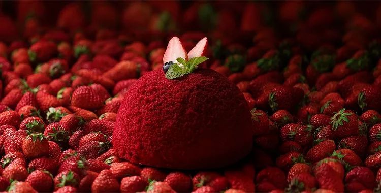 深圳什么蛋糕品牌最好,黑天鹅蛋糕深圳店在哪里