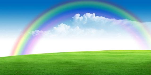 四年级优秀作文我学会了什么300字,四年级优秀作文我学会了什么