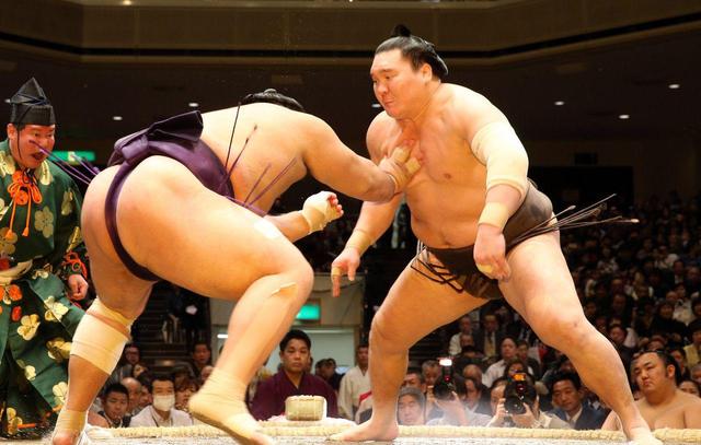 日本女星嫁相扑,日本女星嫁相扑运动员