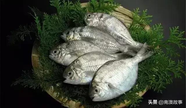 南澳渔民捕鱼视频,南澳渔民出海