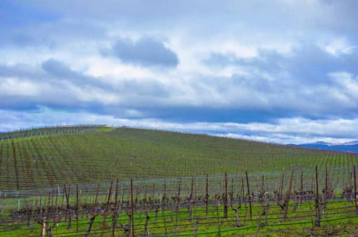 windowsxp最经典的壁纸,windowsxp经典壁纸