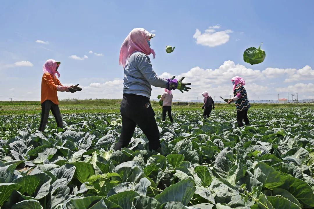 彪炳史册脱贫攻坚,彪炳史册的六个伟大成就