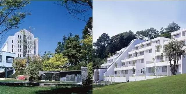 靠“*养包**”员工,逼疯同行!最不务正业的公司,在全球火了100年