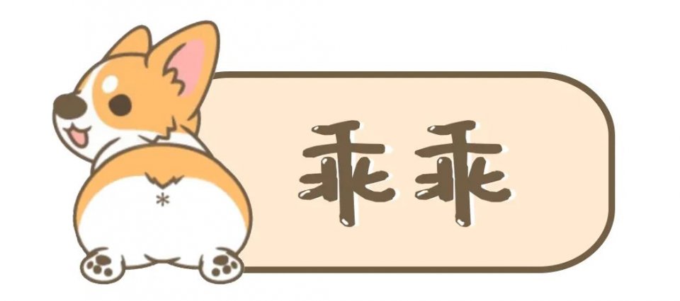 吸屁屁，短腿大耳肉嘟嘟，这家店进去就出不来了…