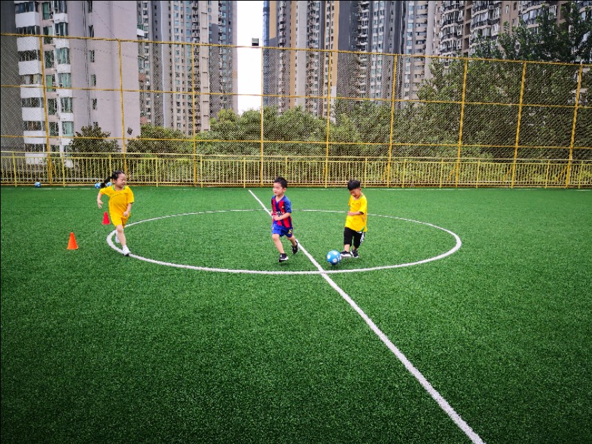 家长对足球看法,孩子对足球的自我评价