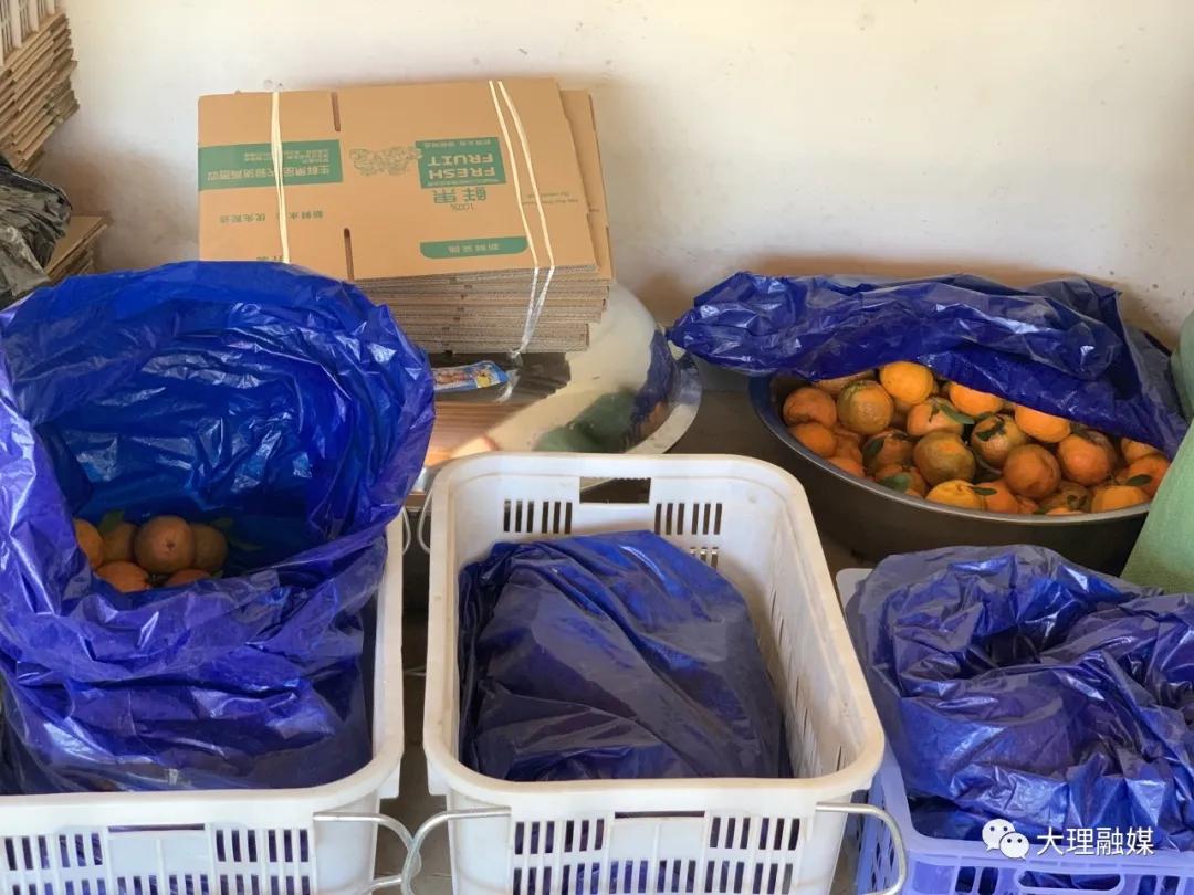 80后小伙网上卖野果,大理80后小伙