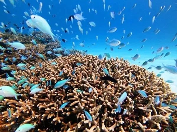 冲绳有啥,冲绳有没有啥