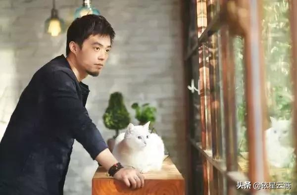 大v百货店,大v店发展状态