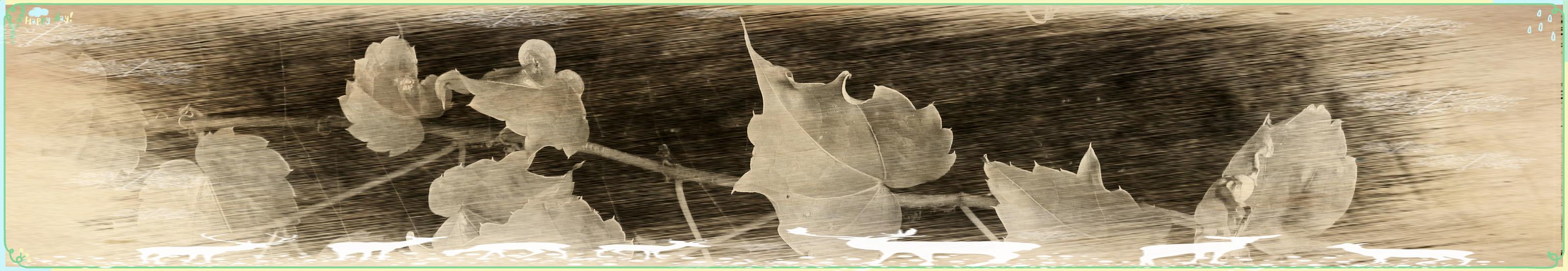 张贤亮小说救赎,张贤亮的最后结局