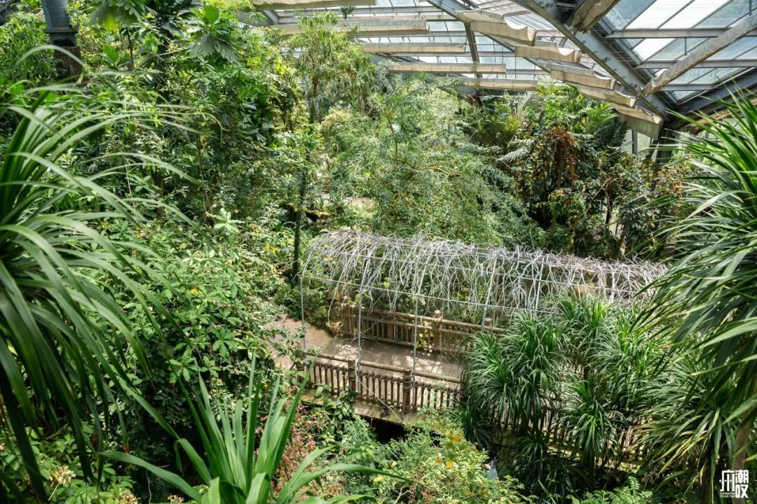 300+万㎡原始森林秘境，天河就有