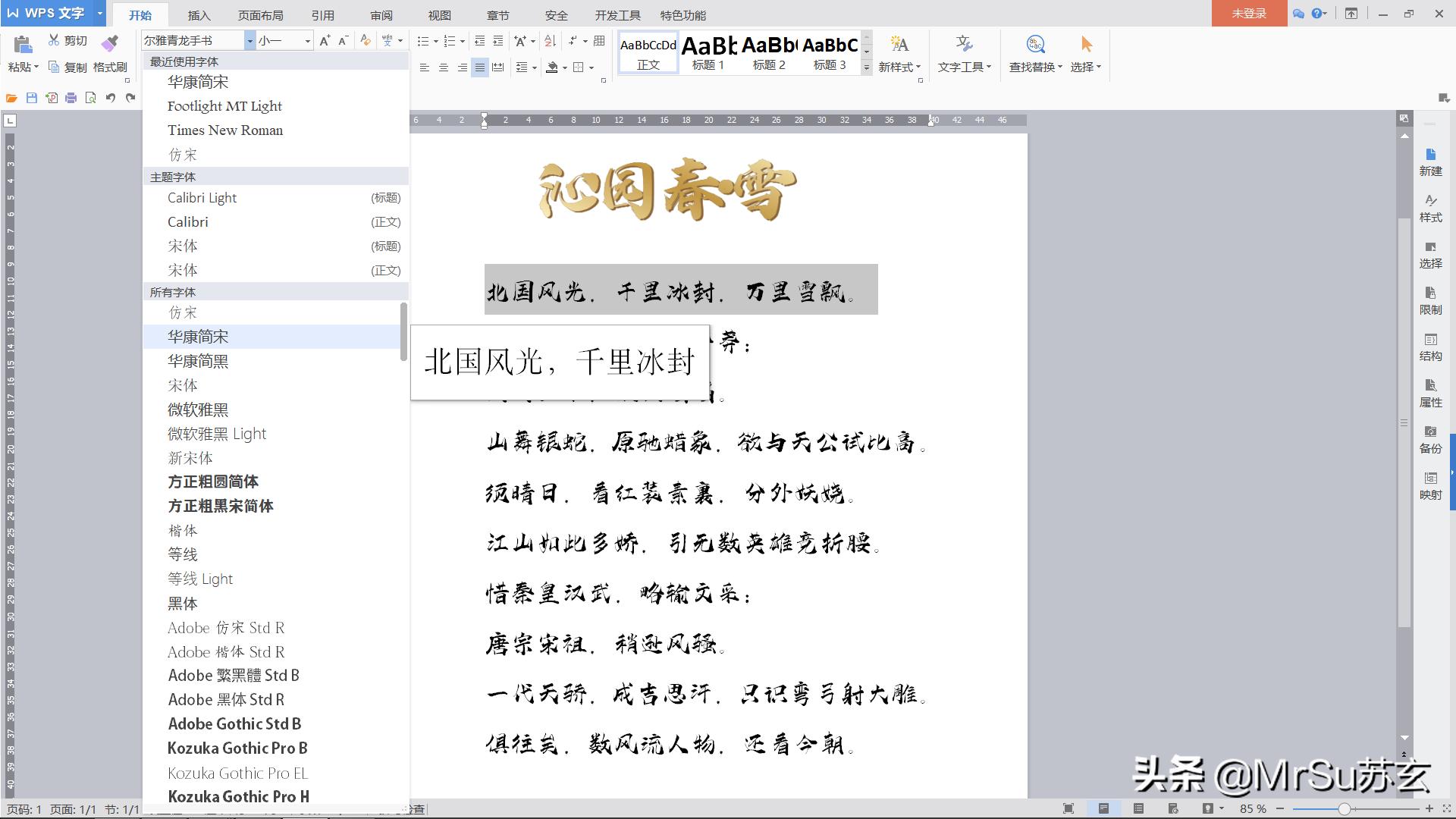 word中文字体怎么显示是英文,word如何设置好看的字体