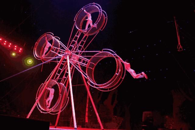 厦门马戏城灵玲酒店,厦门灵玲马戏酒店套票