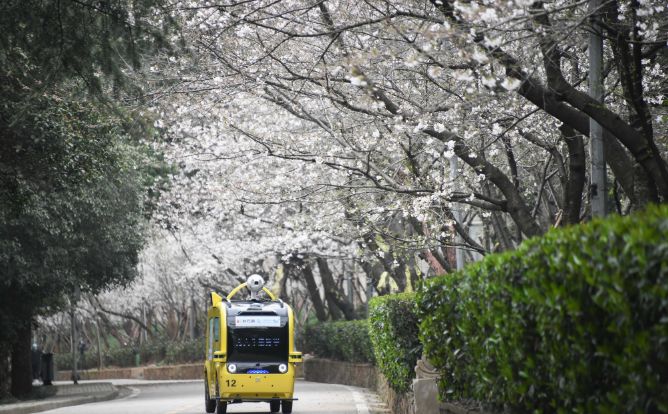 早读奖励,安徽合肥中考能加分的有哪些项目