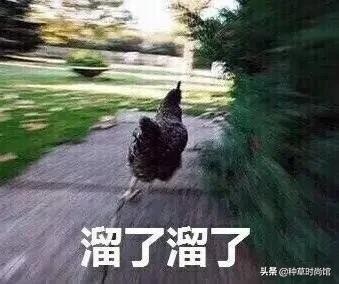 女性胸部知识你知多少,女性胸部知识科普