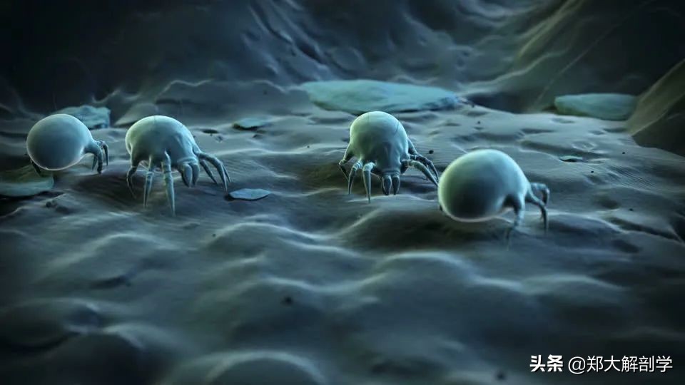 过敏性鼻炎咳嗽,过敏性鼻炎吃什么药