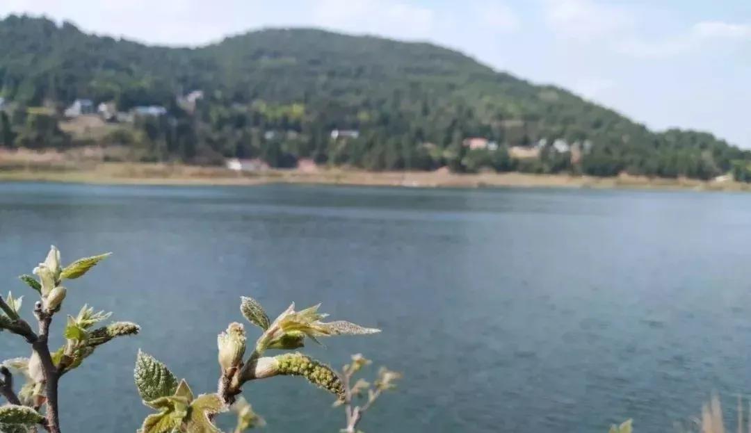 人人人人人众……五一假期水库爆满！来看渔情究竟如何