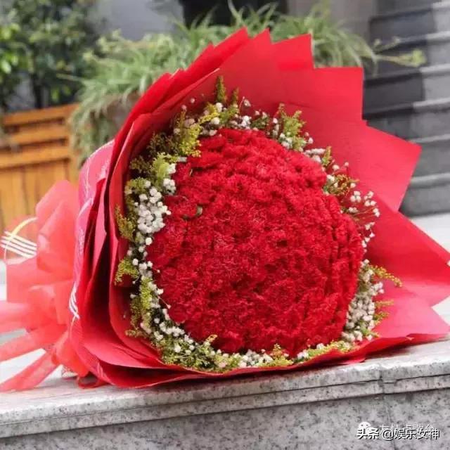 送给老师教师节礼物康乃馨,康乃馨教师节祝福语简短10字