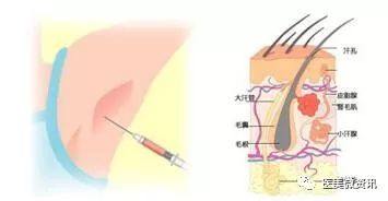 做一个香香公主,做个香香公主