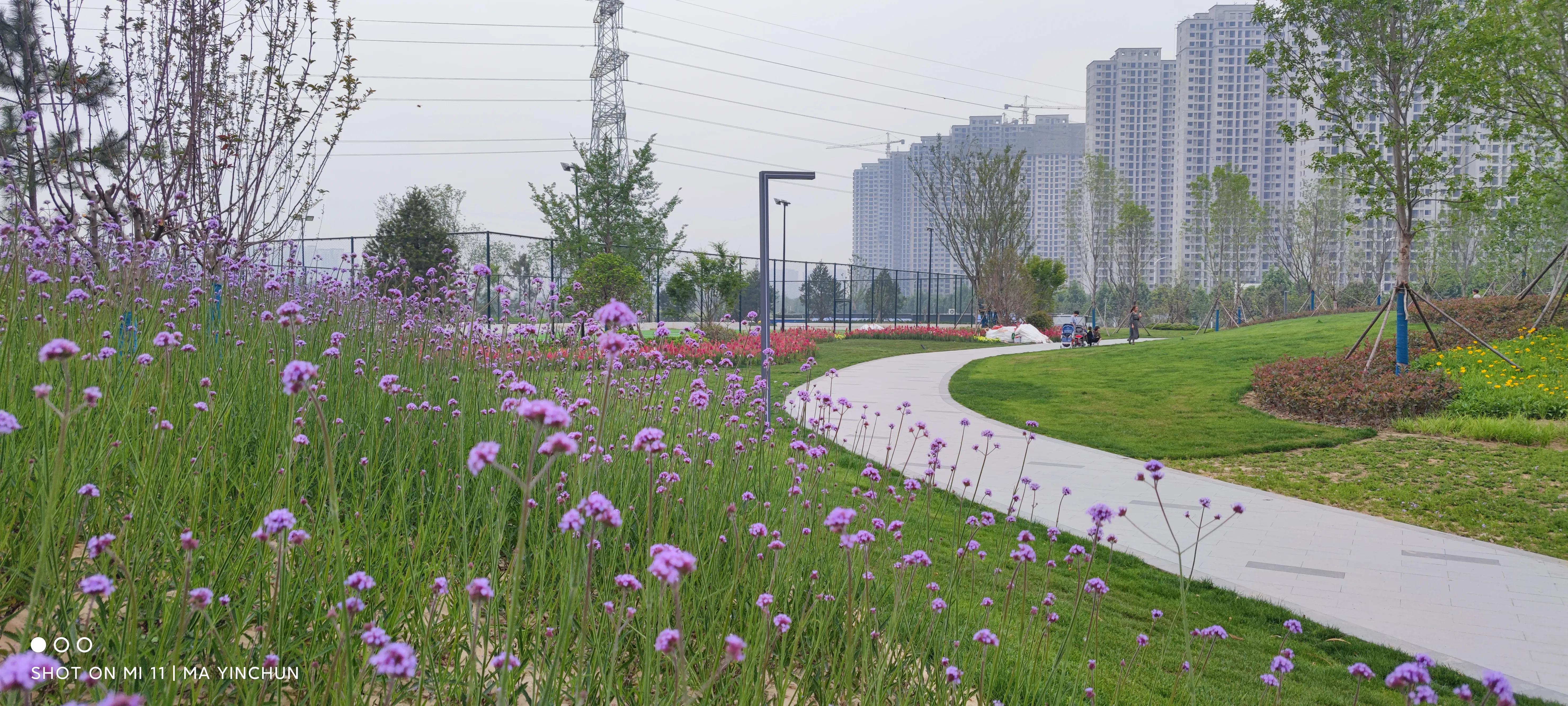 缁欏瀛愮幆淇濈邯蹇靛搧绀肩墿,缁欏皬鏈嬪弸鐨勪綋鑲插皬绀肩墿