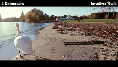 各种奇葩机器人,十大最有趣的机器人